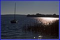 _MG_7213.JPG