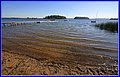 _MG_7221.JPG