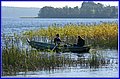 _MG_7236.JPG