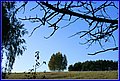 _MG_7293.JPG