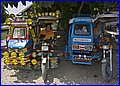016 _H3N7455.jpg