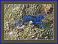 075 CRW_0045.jpg