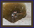 079 CRW_0316.jpg