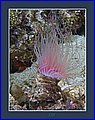 088 CRW_0074.jpg