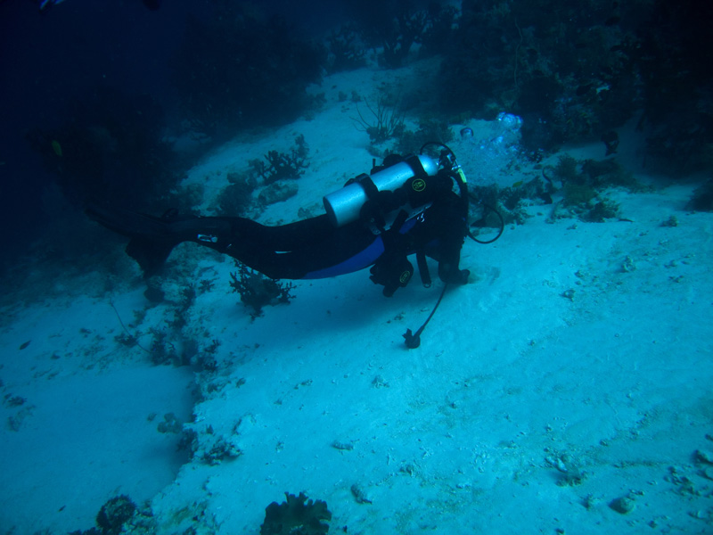 CRW_1232.jpg