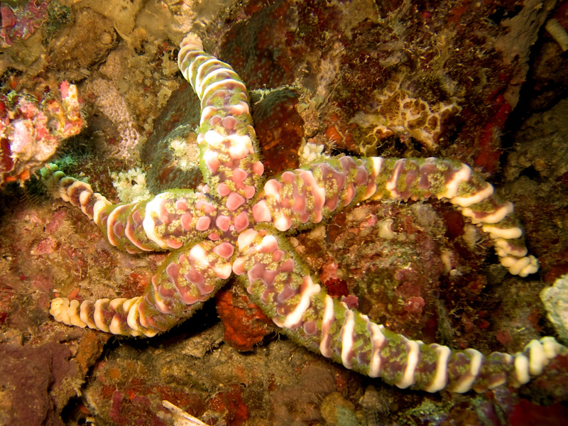 CRW_1264.jpg