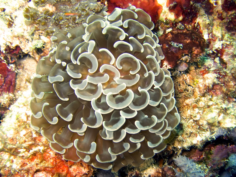 CRW_1265.jpg