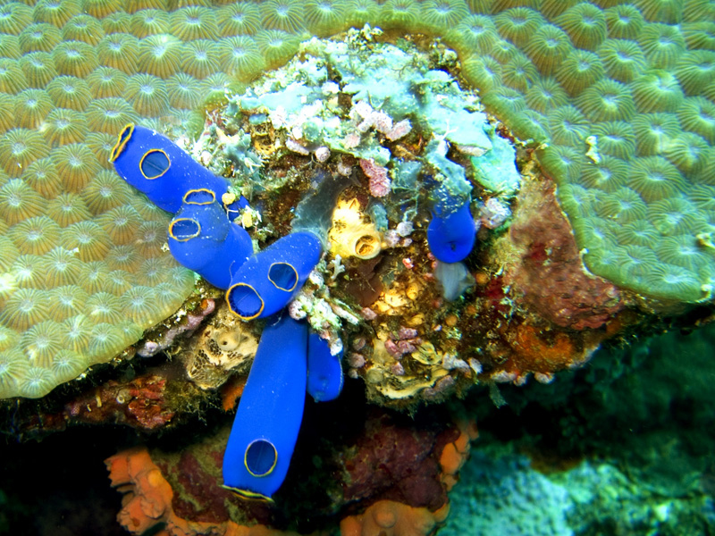 CRW_1268.jpg