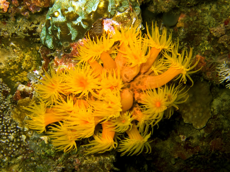 CRW_1296.jpg
