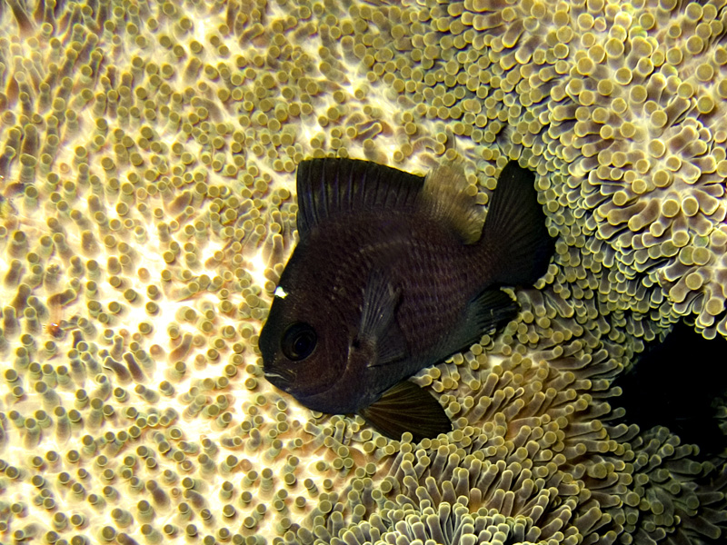 CRW_1299.jpg