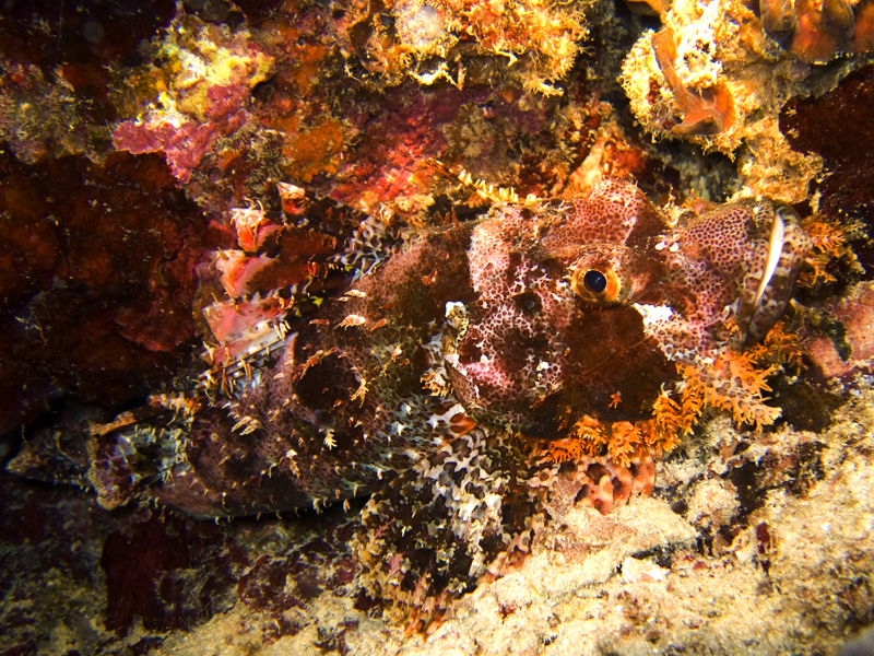 CRW_1312.jpg