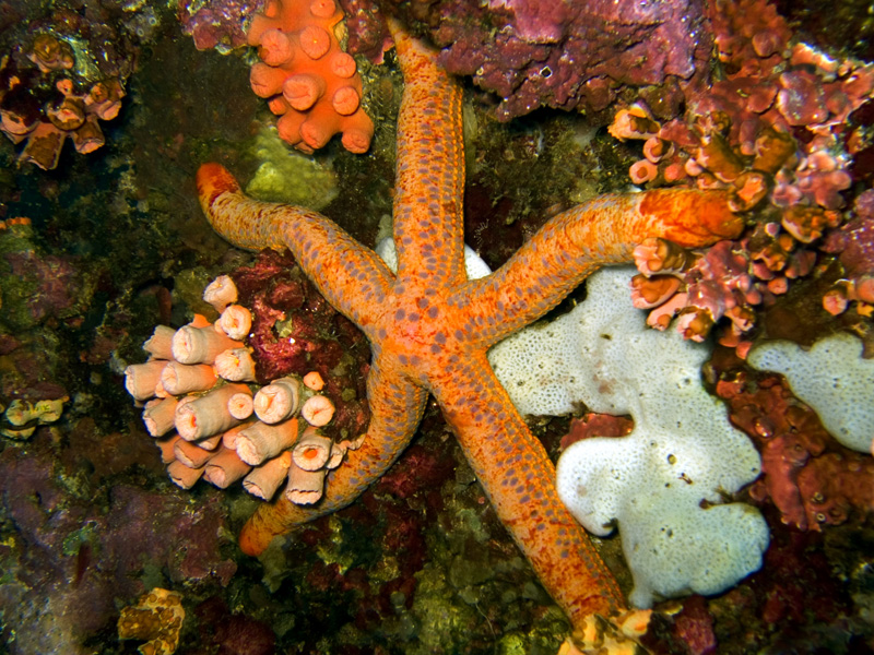 CRW_1355.jpg