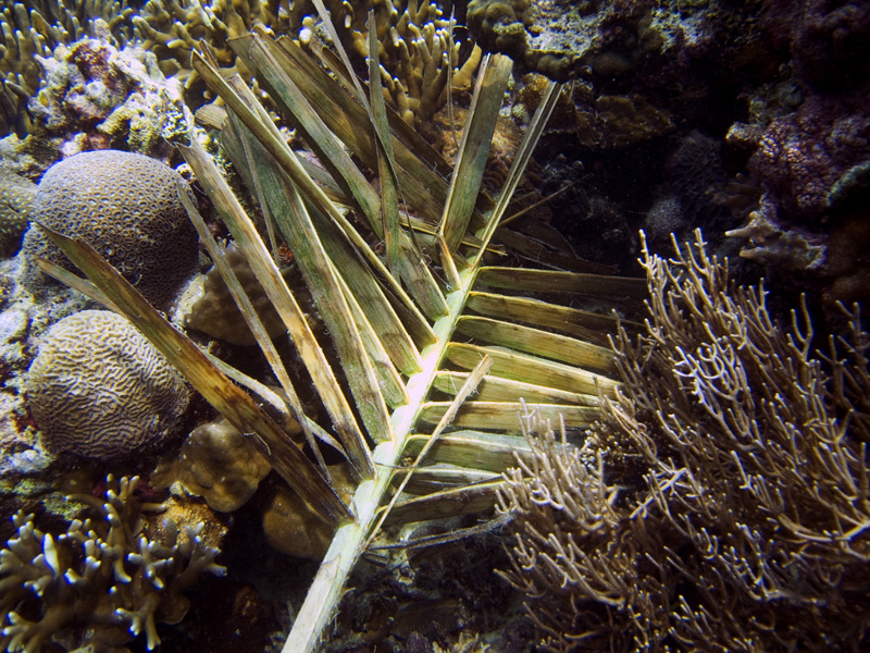 CRW_1402.jpg