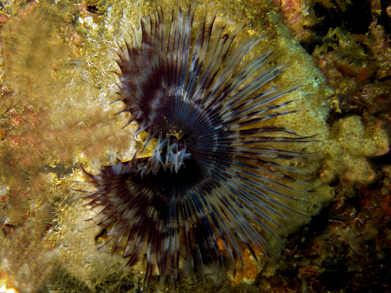 CRW_1709.jpg
