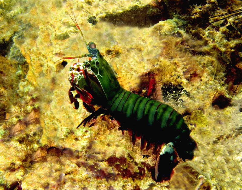CRW_1737.jpg