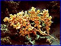 CRW_1243.jpg