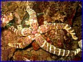 CRW_1264.jpg
