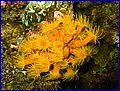 CRW_1296.jpg