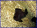 CRW_1299.jpg