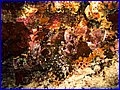 CRW_1312.jpg