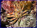 CRW_1327.jpg