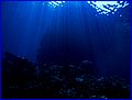 CRW_1361.jpg