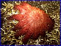 CRW_1604.jpg