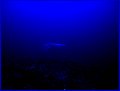 CRW_1648.jpg