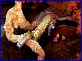 CRW_1705.jpg