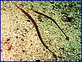 CRW_1718.jpg