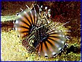 CRW_1732.jpg