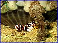 CRW_1755.jpg