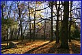 _MG_8255.JPG