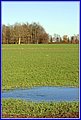 _MG_8267.JPG
