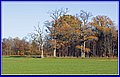 _MG_8271.JPG