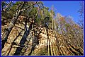 _MG_8285.JPG
