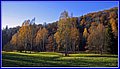 _MG_8309.JPG