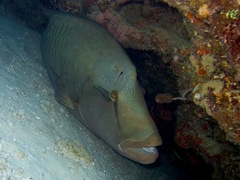 CRW_0382.jpg