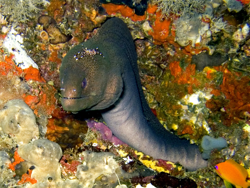 CRW_0400.jpg