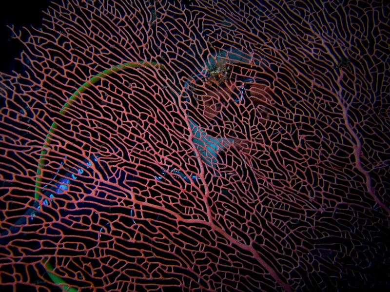 CRW_0434.jpg