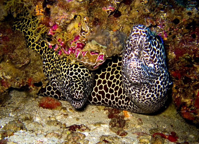 CRW_0447.jpg
