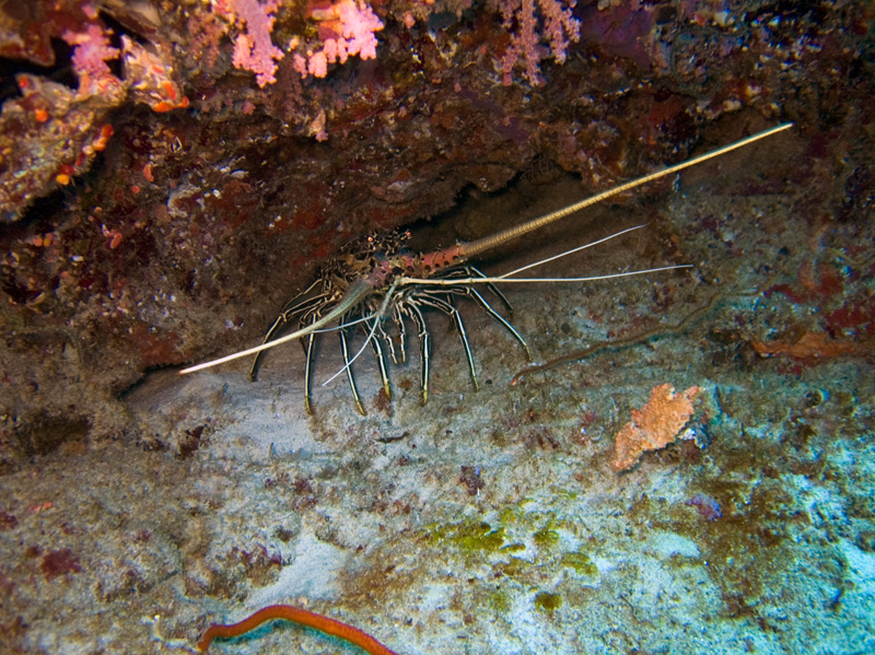 CRW_0530.jpg