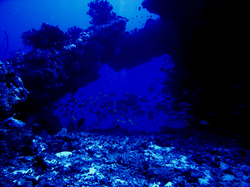 CRW_0707.jpg