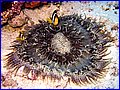 CRW_0576.jpg