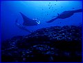 CRW_9610.jpg
