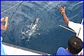 IMG_3383.JPG