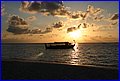IMG_3453.JPG