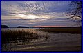 _MG_9082.JPG