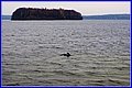 _MG_9159.JPG
