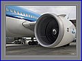 010 1 CRW_7339.jpg